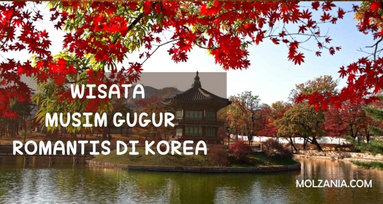 10-tempat-wisata-romantis-di-korea-yang-menawan-hati-anda