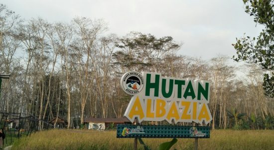 jelajahi-keindahan-wisata-hutan-albasia-kubu-raya-kalimantan-barat