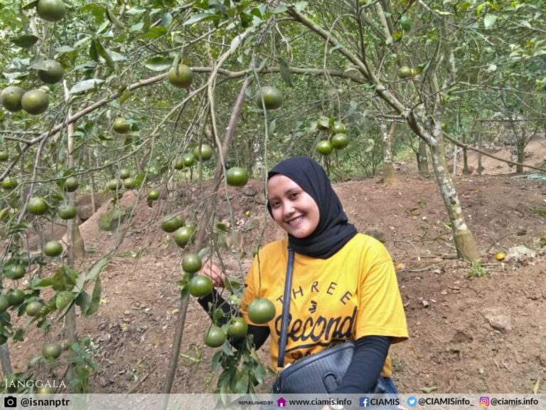 menjelajahi-wisata-kebun-jeruk-yang-indah-dan-inspiratif