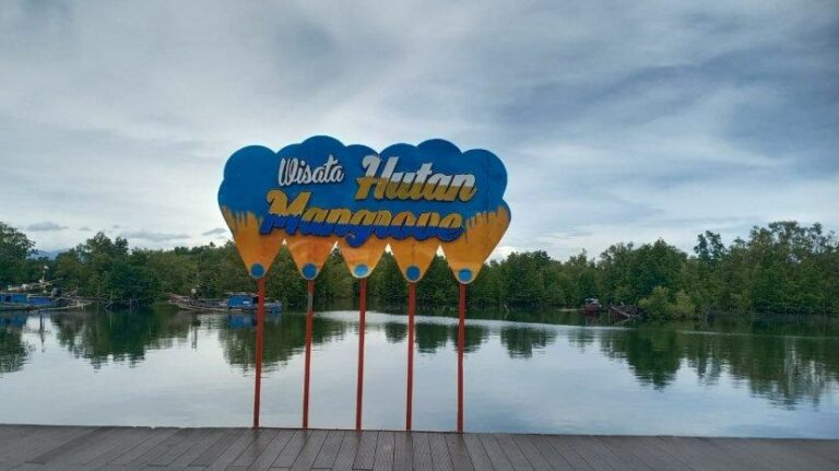 10-destinasi-wisata-hutan-mangrove-terbaik-di-bengkulu