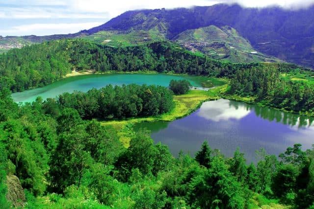 10-destinasi-wisata-menarik-di-wonosobo-untuk-anak-anak