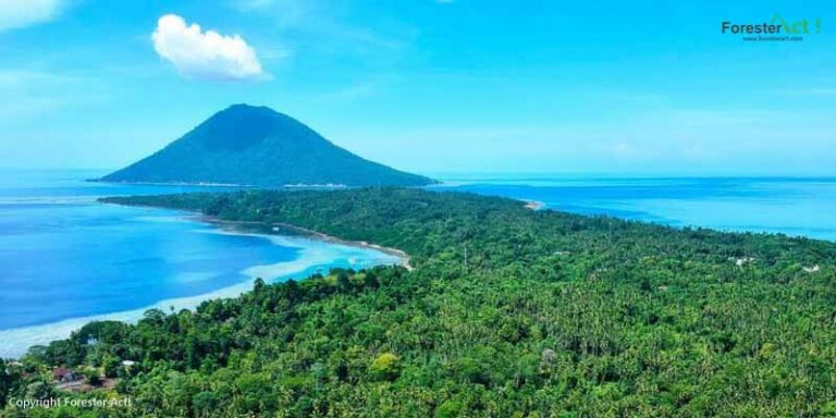 10-perbedaan-kontras-taman-nasional-dan-taman-wisata-yang-harus-dipahami