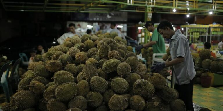 10-tempat-wisata-durian-terdekat-yang-harus-dikunjungi