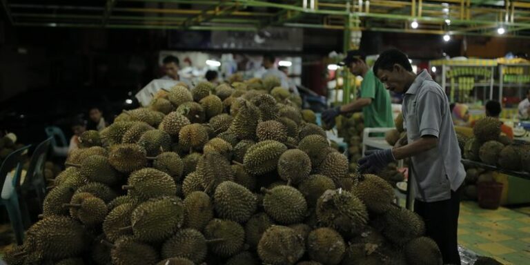 10-tempat-wisata-durian-terdekat-yang-harus-dikunjungi