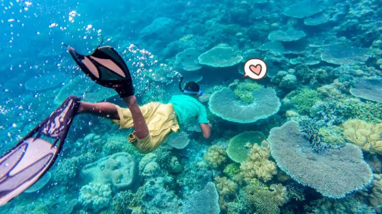 10-tempat-wisata-pilihan-di-wakatobi-yang-wajib-dikunjungi