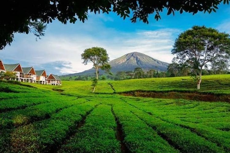 10-tempat-wisata-terbaik-di-pagaralam-yang-wajib-dikunjungi