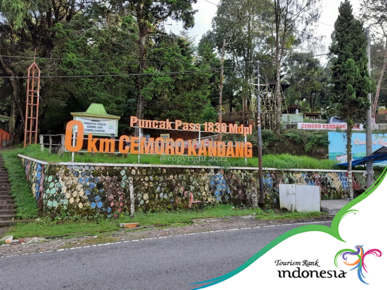 explore-izinkan-kami-membawa-anda-menjelajahi-wisata-cemoro-kandang-yang-menakjubkan