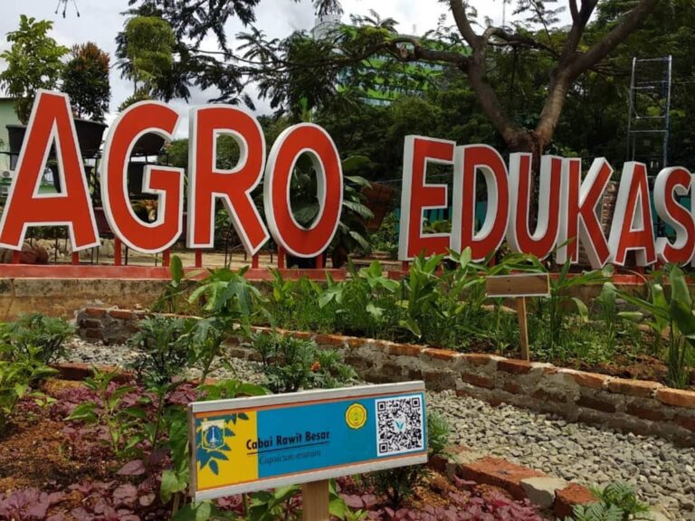 jelajahi-agro-edukasi-wisata-ragunan-yang-menarik-dan-edutainment