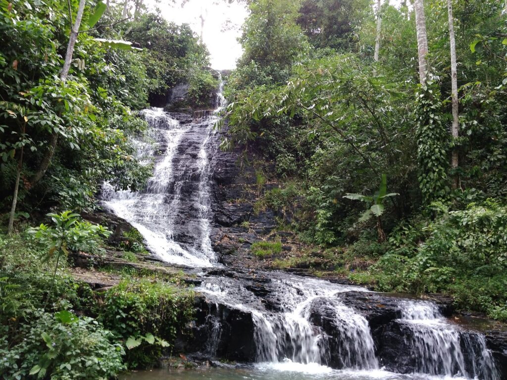 jelajahi-keindahan-bukit-kemuning-di-lampung-utara