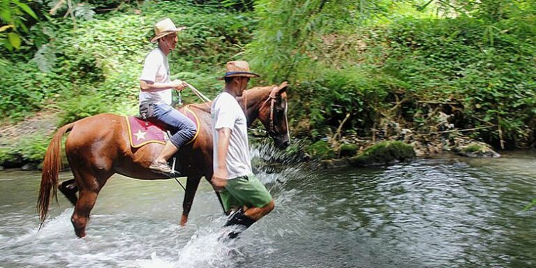 keindahan-wisata-berkuda-nikmati-petualangan-seru-di-alam-terbuka