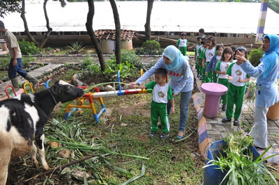 keunikan-kampung-wisata-sekolah-sentulfresh-education-farm-dalam-10-kata