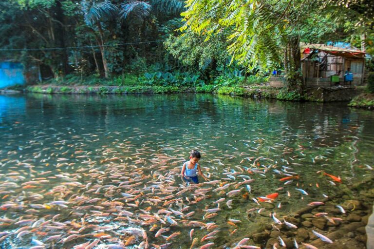 menikmati-indahnya-alam-di-wisata-senjoyo-yang-memesona