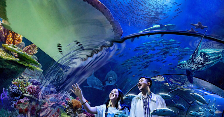 menikmati-keindahan-wisata-aquarium-yang-spektakuler-di-indonesia