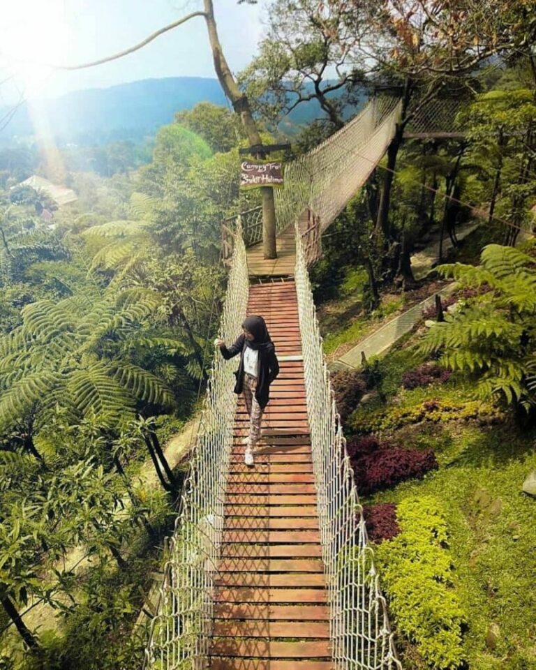 menikmati-keindahan-wisata-gunung-halimun-salak-bogor-yang-asri