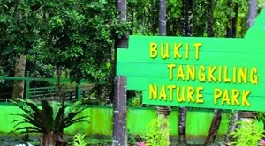 menikmati-keindahan-wisata-tangkiling-yang-mengagumkan