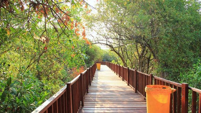 menikmati-pemandangan-indah-di-wisata-mangrove-sidoarjo