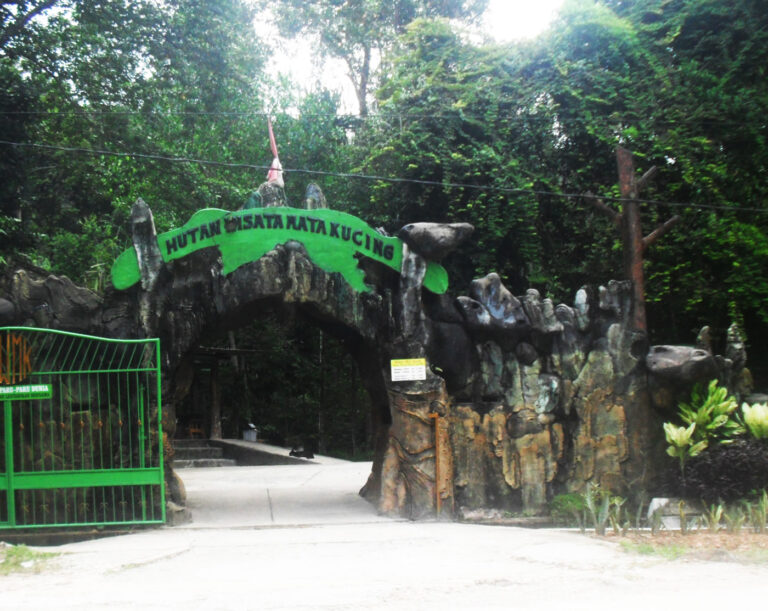 menjelajahi-keindahan-hutan-wisata-mata-kucing-yang-menakjubkan