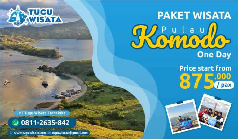 terjangkau-dan-tak-terlupakan-paket-wisata-komodo-terbaik