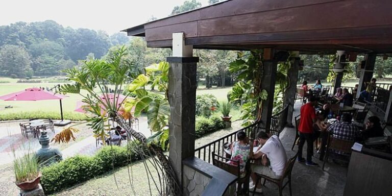 warung-makan-terbaik-di-wisata-puncak-pinus-10-rekomendasi-kuliner-enak