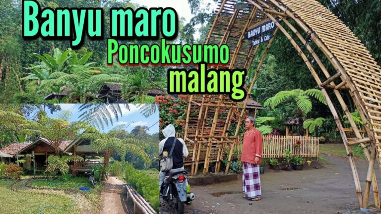 10-wisata-menarik-di-poncokusumo-yang-wajib-dikunjungi