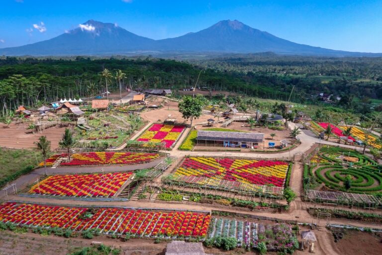 jelajahi-wisata-agro-terbaik-di-indonesia